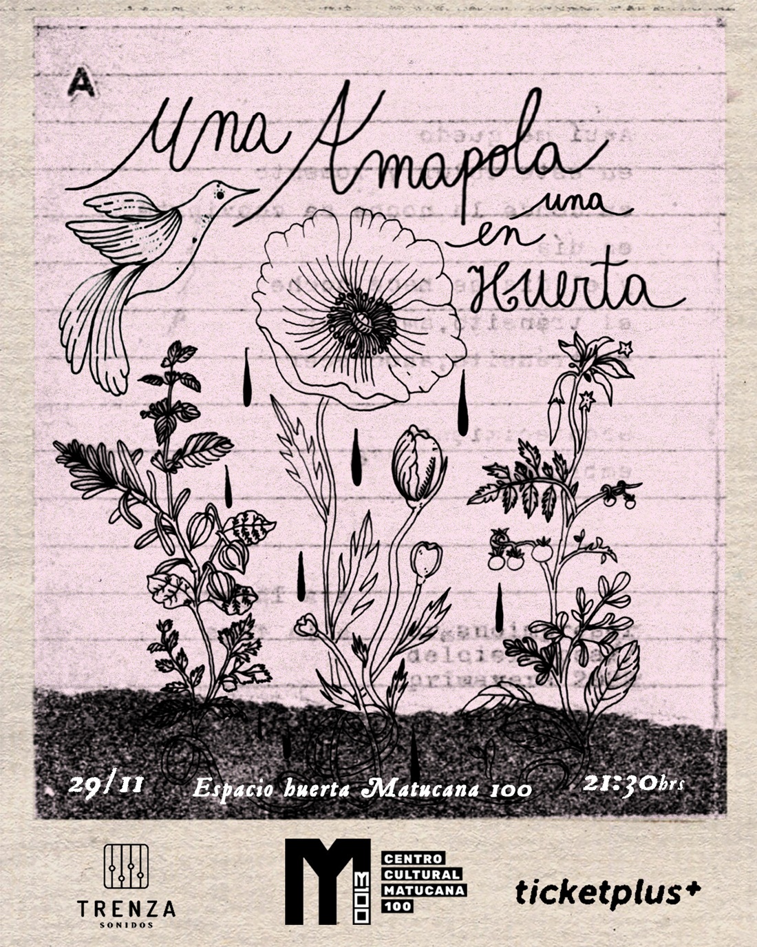 Trova, punk e indie: Amapola programa concierto en Matucana 100